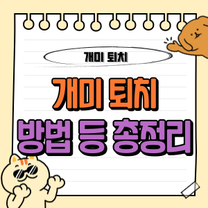 개미 퇴치의 모든 것 : 효과적인 방법부터 퇴치제, 전문가 선택까지 🐜 1 개미 퇴치 방법 등 총정리