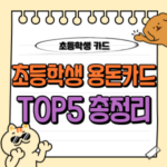 초등학생 용돈카드 인기순 TOP4 비교! (체크, 후불, 교통, 어린이, 중학생, 청소년 등) 6 초등학생 용돈카드 총정리