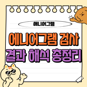 에니어그램 테스트 검사 결과 및 유형별 특징, 해석 총정리! - 유용 정보(IT, 복지, 공연, 스포츠, 이슈 등)를 제공해요.