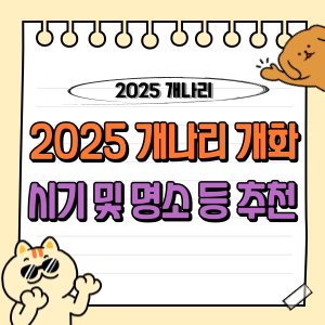 2025 개나리 개화시기와 전국 명소 가이드 🌼 (봄꽃 만개시기) 1 2025 개나리 개화시기 명소 등 추천