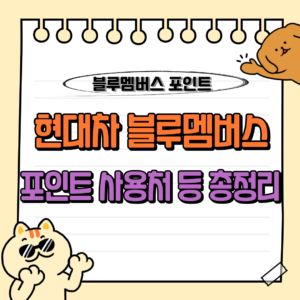 현대자동차 블루멤버스 포인트 사용처 : 주유 등 400만원까지 가능한 멤버십 혜택 총정리 💳 1 현대자동차 블루멤버스 포인트 사용처 몰 주유