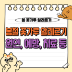 봄철 꽃가루 알레르기, 원인부터 예방·치료까지 완벽 가이드 🌼 11 봄철 꽃가루 알레르기 증상 원인 예방 치료 약