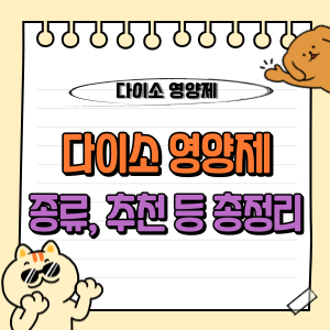 다이소 영양제, 가성비와 품질 사이의 진실 공개 💊 (종류, 매장, 추천 등 총정리) 1 다이소 영양제 종류 가격 매장 총정리 등