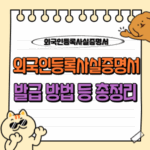 외국인등록사실증명서 발급 : 온라인부터 오프라인(동사무소)까지 원스톱 가이드 📋 6 외국인등록사실증명서 발급 동사무소