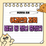 여권번호 정보 조회부터 해외 발급까지 완벽 가이드 (정부24 방법 등) 🛂 4 여권번호 조회 정보 발급