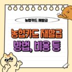 농협카드 재발급 완벽 가이드: 방법, 비용, 신청 절차, 기간 등 총정리 💳 8 농협카드 재발급 방법 비용 조건 준비물